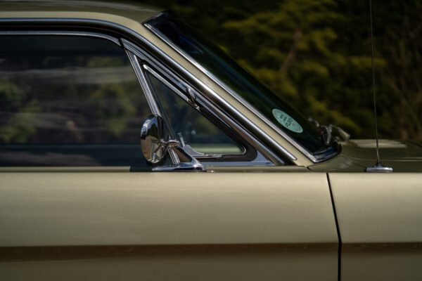 PilgrimV8-66Mustang Olive Gold-061 PilgrimV8-66Mustang Olive Gold-061