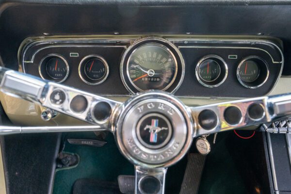 PilgrimV8-66Mustang Olive Gold-073 PilgrimV8-66Mustang Olive Gold-073