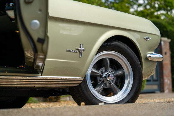 PilgrimV8-66Mustang Olive Gold-078 PilgrimV8-66Mustang Olive Gold-078