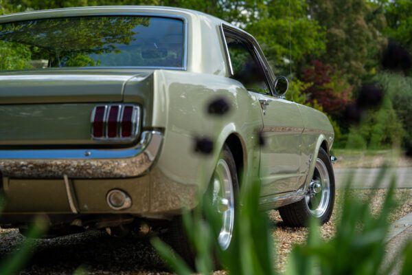 PilgrimV8-66Mustang Olive Gold-081 PilgrimV8-66Mustang Olive Gold-081