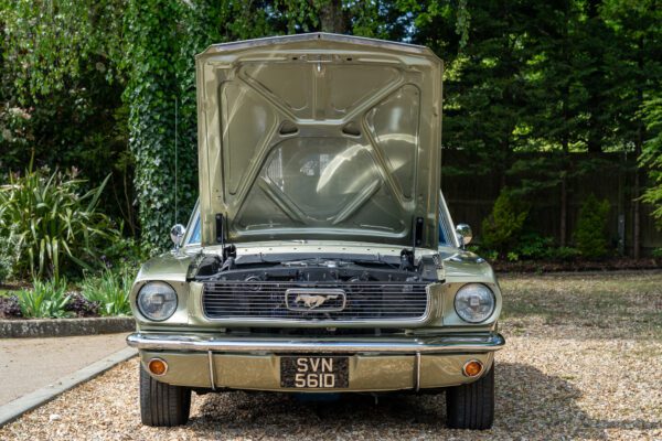 PilgrimV8-66Mustang Olive Gold-082 PilgrimV8-66Mustang Olive Gold-082