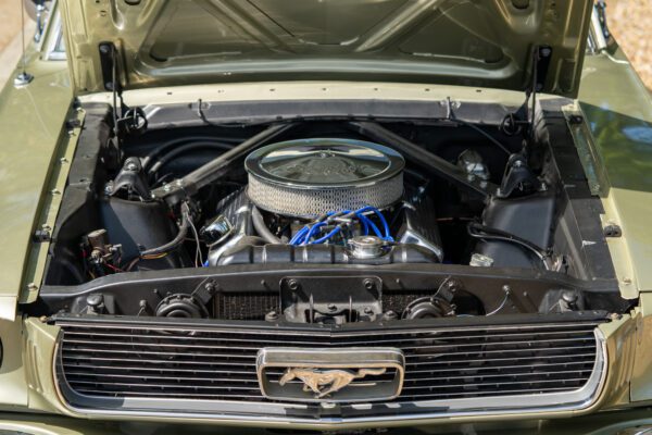 PilgrimV8-66Mustang Olive Gold-083 PilgrimV8-66Mustang Olive Gold-083