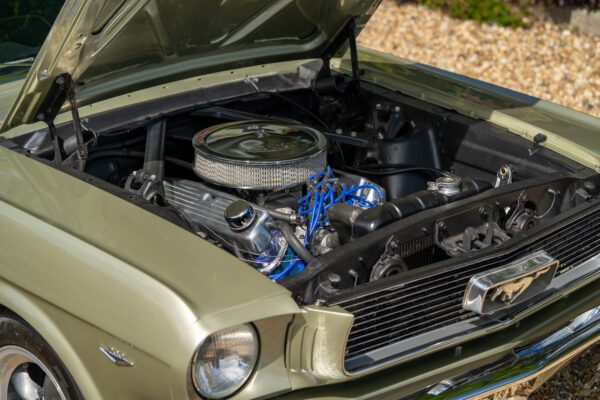 PilgrimV8-66Mustang Olive Gold-084 PilgrimV8-66Mustang Olive Gold-084