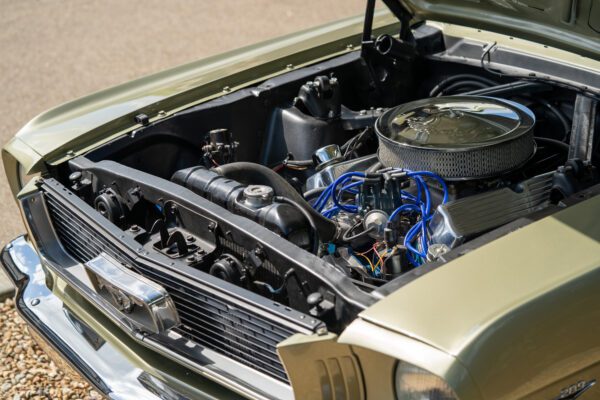 PilgrimV8-66Mustang Olive Gold-085 PilgrimV8-66Mustang Olive Gold-085