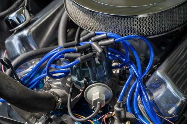 PilgrimV8-66Mustang Olive Gold-086 PilgrimV8-66Mustang Olive Gold-086