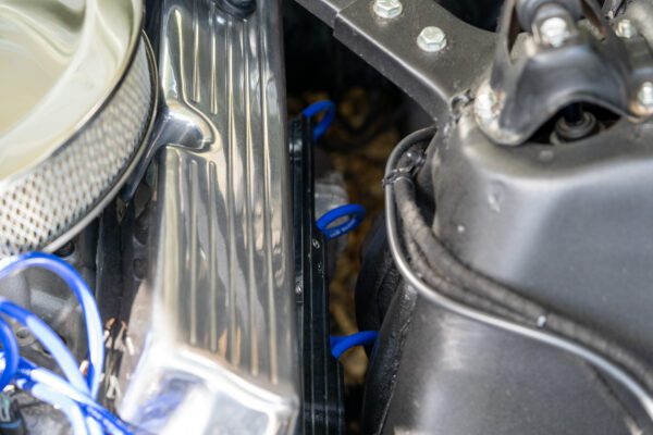 PilgrimV8-66Mustang Olive Gold-087 PilgrimV8-66Mustang Olive Gold-087