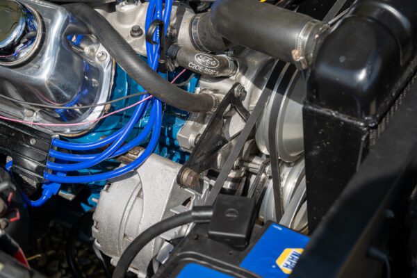 PilgrimV8-66Mustang Olive Gold-088 PilgrimV8-66Mustang Olive Gold-088