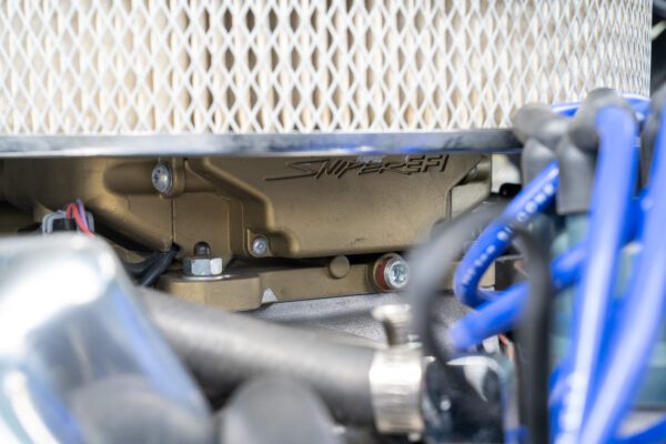 PilgrimV8-66Mustang Olive Gold-090 PilgrimV8-66Mustang Olive Gold-090