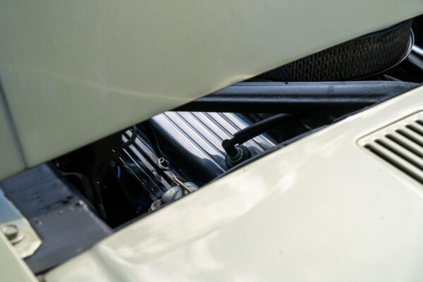 PilgrimV8-66Mustang Olive Gold-092 PilgrimV8-66Mustang Olive Gold-092