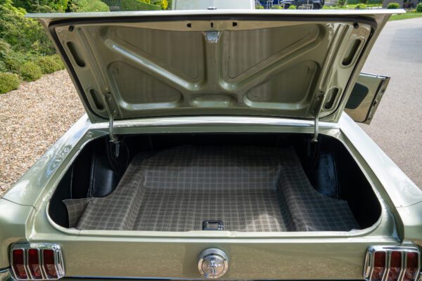 PilgrimV8-66Mustang Olive Gold-094 PilgrimV8-66Mustang Olive Gold-094