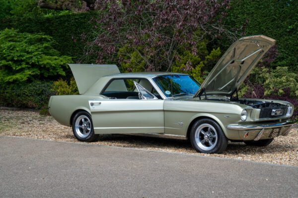PilgrimV8-66Mustang Olive Gold-096 PilgrimV8-66Mustang Olive Gold-096