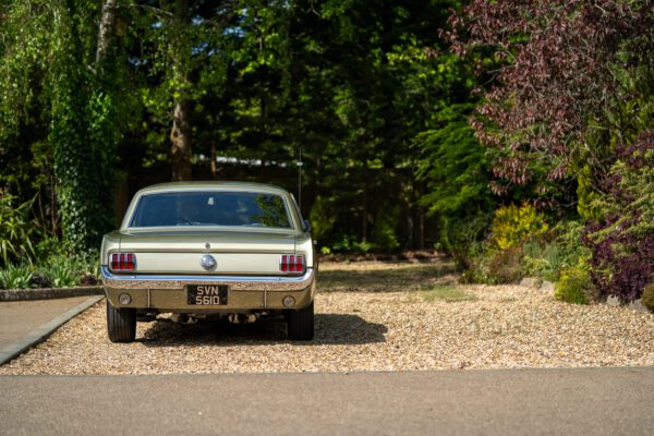 PilgrimV8-66Mustang Olive Gold-098 PilgrimV8-66Mustang Olive Gold-098