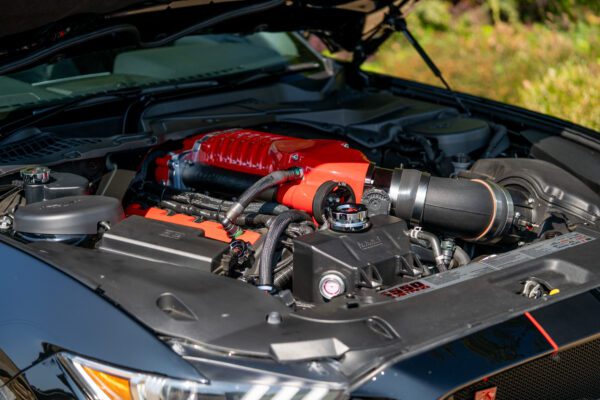 PilgrimV8-Mustang Supercharged -031 PilgrimV8-Mustang Supercharged -031