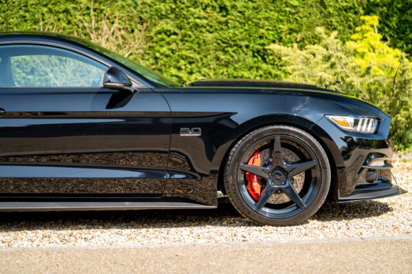 PilgrimV8-Mustang Supercharged -036 PilgrimV8-Mustang Supercharged -036