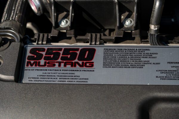 PilgrimV8-Mustang Supercharged -054 PilgrimV8-Mustang Supercharged -054