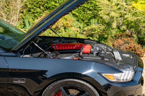 PilgrimV8-Mustang Supercharged -057 PilgrimV8-Mustang Supercharged -057