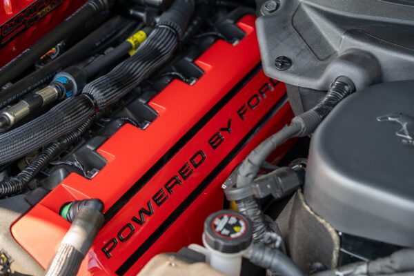 PilgrimV8-Mustang Supercharged -058 PilgrimV8-Mustang Supercharged -058