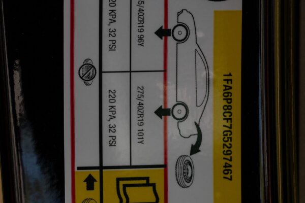 PilgrimV8-Mustang Supercharged -076 PilgrimV8-Mustang Supercharged -076