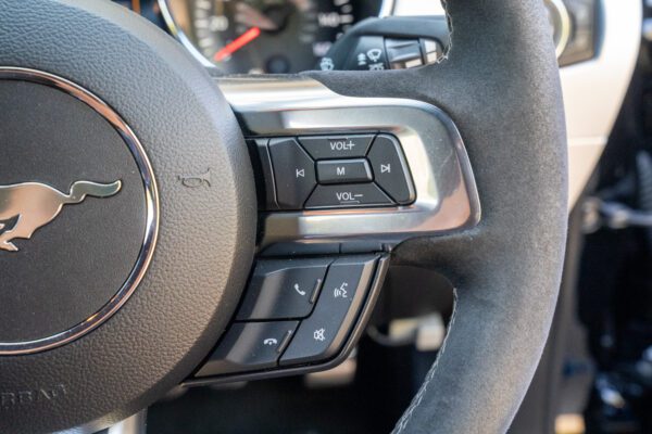 PilgrimV8-Mustang Supercharged -087 PilgrimV8-Mustang Supercharged -087