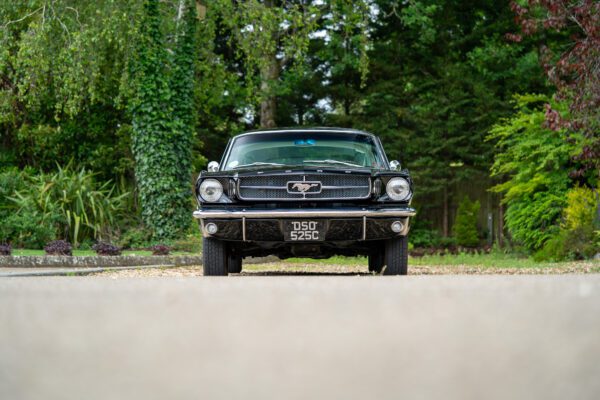 PilgrimV8-65-Fastback-Belle-002 PilgrimV8-65-Fastback-Belle-002