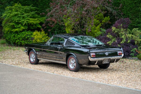 PilgrimV8-65-Fastback-Belle-005 PilgrimV8-65-Fastback-Belle-005