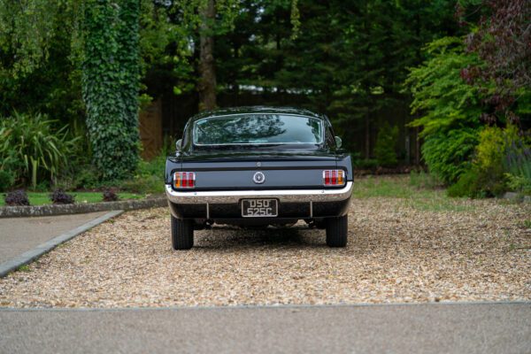 PilgrimV8-65-Fastback-Belle-006 PilgrimV8-65-Fastback-Belle-006