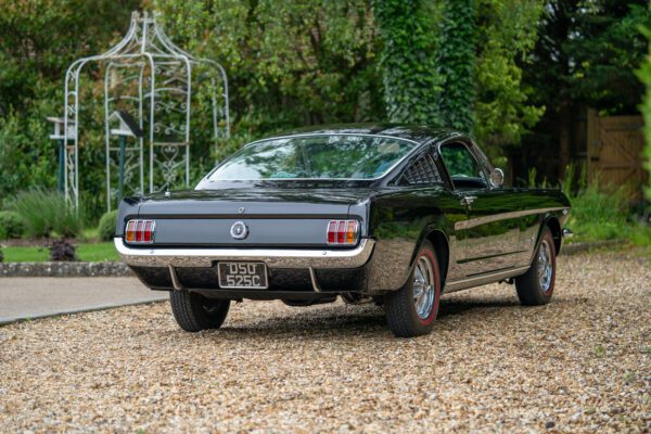 PilgrimV8-65-Fastback-Belle-007 PilgrimV8-65-Fastback-Belle-007