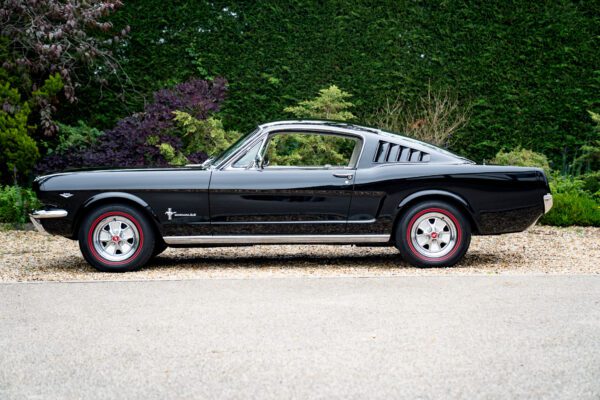 PilgrimV8-65-Fastback-Belle-008 PilgrimV8-65-Fastback-Belle-008