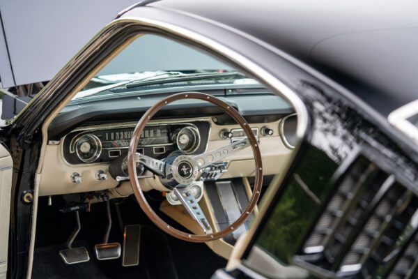 PilgrimV8-65-Fastback-Belle-009 PilgrimV8-65-Fastback-Belle-009