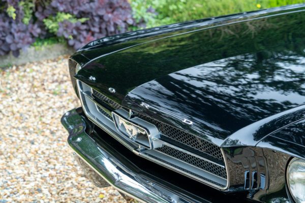 PilgrimV8-65-Fastback-Belle-014 PilgrimV8-65-Fastback-Belle-014