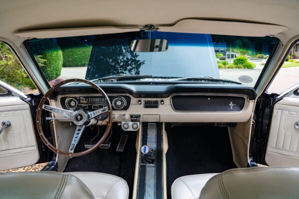 PilgrimV8-65-Fastback-Belle-017 PilgrimV8-65-Fastback-Belle-017