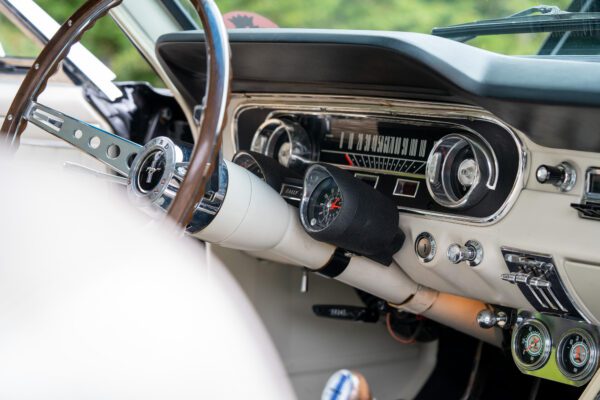 PilgrimV8-65-Fastback-Belle-019 PilgrimV8-65-Fastback-Belle-019