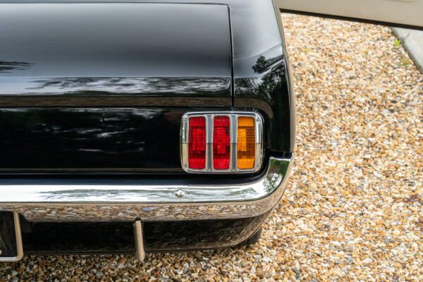 PilgrimV8-65-Fastback-Belle-026 PilgrimV8-65-Fastback-Belle-026