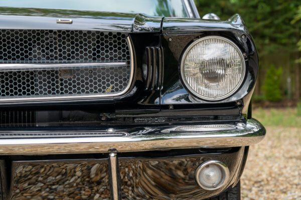 PilgrimV8-65-Fastback-Belle-027 PilgrimV8-65-Fastback-Belle-027