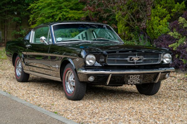 PilgrimV8-65-Fastback-Belle-029 PilgrimV8-65-Fastback-Belle-029