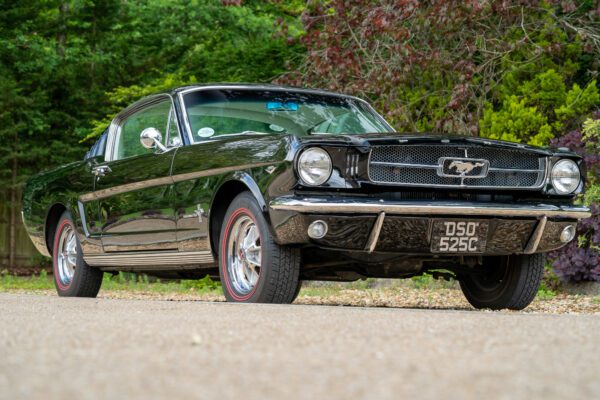 PilgrimV8-65-Fastback-Belle-030 PilgrimV8-65-Fastback-Belle-030