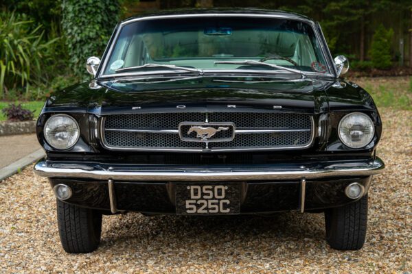 PilgrimV8-65-Fastback-Belle-031 PilgrimV8-65-Fastback-Belle-031