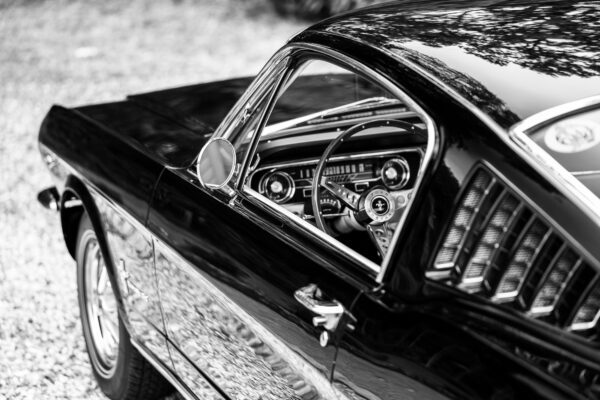 PilgrimV8-65-Fastback-Belle-035 PilgrimV8-65-Fastback-Belle-035