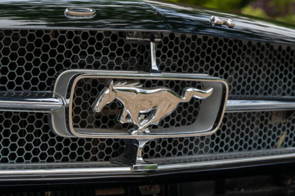 PilgrimV8-65-Fastback-Belle-037 PilgrimV8-65-Fastback-Belle-037