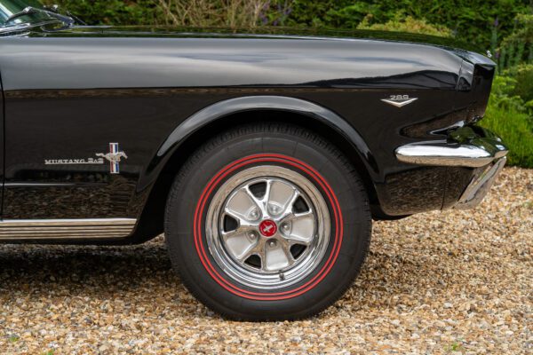 PilgrimV8-65-Fastback-Belle-038 PilgrimV8-65-Fastback-Belle-038