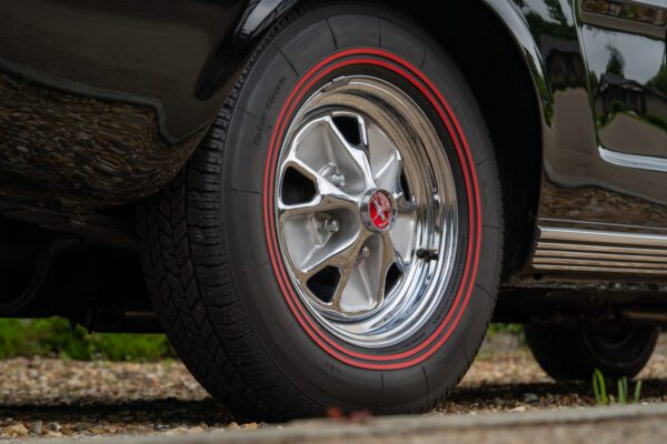 PilgrimV8-65-Fastback-Belle-043 PilgrimV8-65-Fastback-Belle-043