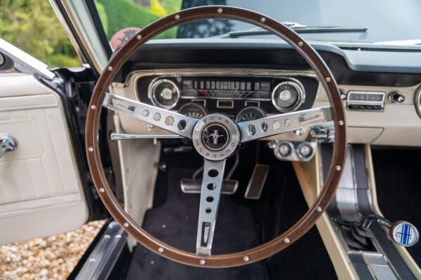 PilgrimV8-65-Fastback-Belle-060 PilgrimV8-65-Fastback-Belle-060