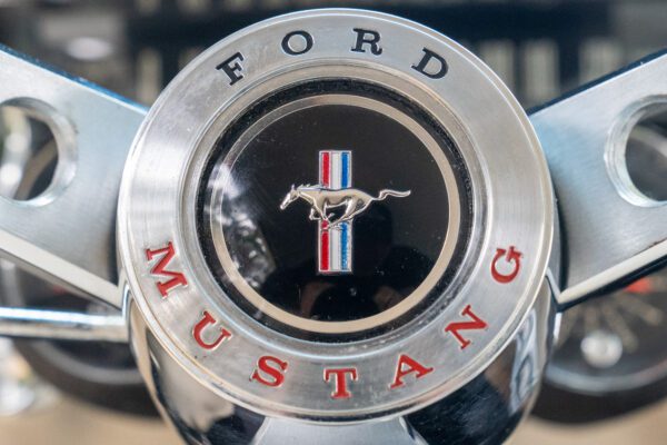 PilgrimV8-65-Fastback-Belle-063 PilgrimV8-65-Fastback-Belle-063