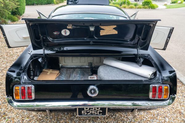 PilgrimV8-65-Fastback-Belle-072 PilgrimV8-65-Fastback-Belle-072