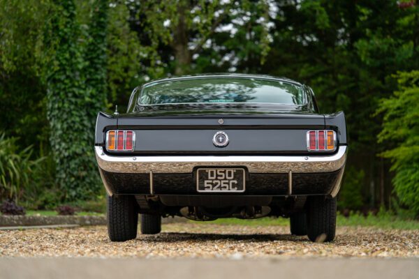 PilgrimV8-65-Fastback-Belle-079 PilgrimV8-65-Fastback-Belle-079