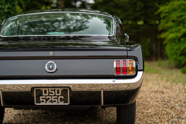 PilgrimV8-65-Fastback-Belle-080 PilgrimV8-65-Fastback-Belle-080