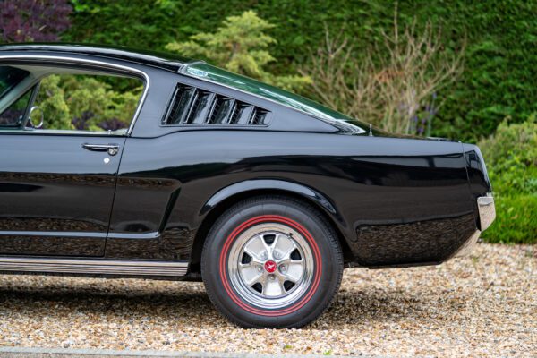 PilgrimV8-65-Fastback-Belle-081 PilgrimV8-65-Fastback-Belle-081