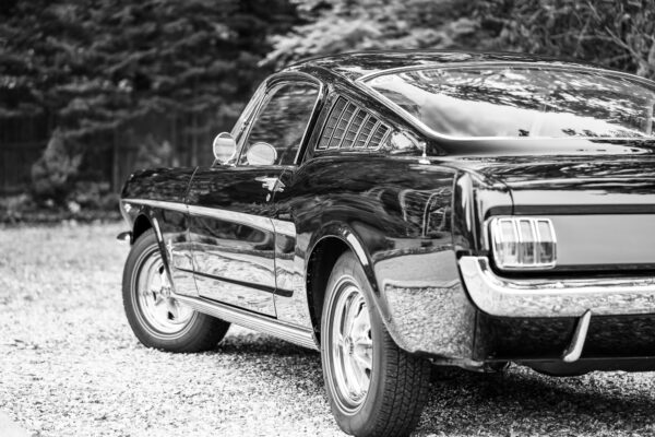 PilgrimV8-65-Fastback-Belle-084 PilgrimV8-65-Fastback-Belle-084