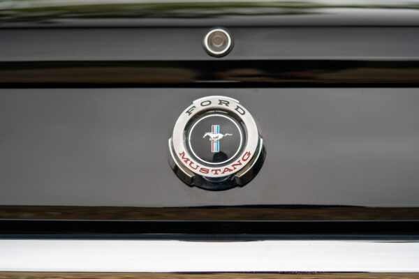 PilgrimV8-65-Fastback-Belle-085 PilgrimV8-65-Fastback-Belle-085