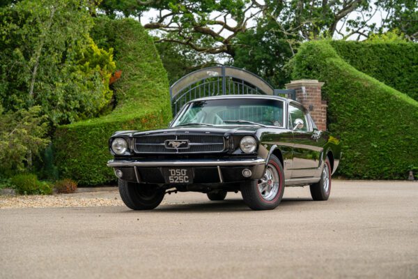 PilgrimV8-65-Fastback-Belle-087 PilgrimV8-65-Fastback-Belle-087